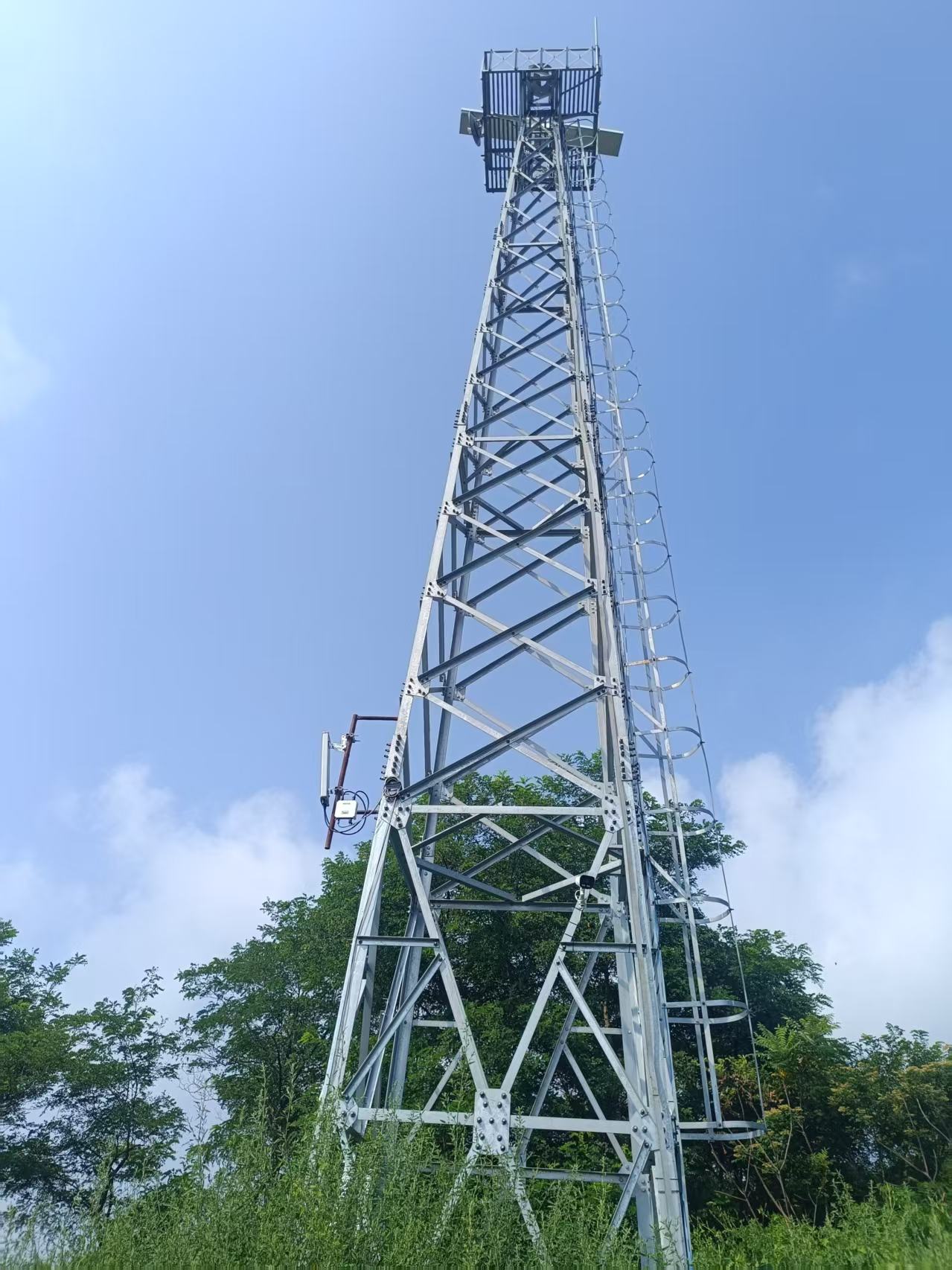 杏树屯某海洋牧场看护平台无线传输(岸基).jpg